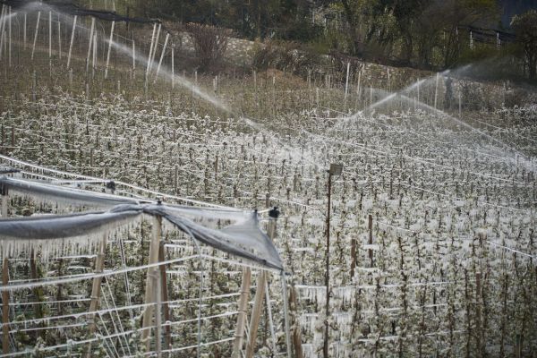 Irrigation Winterization