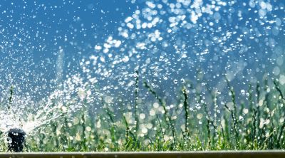 Sprinkler System Winterizing