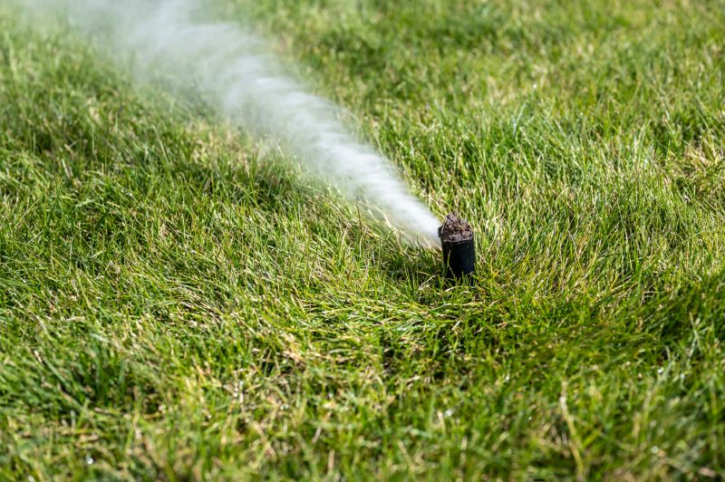 Technician Winterizing Sprinkler System